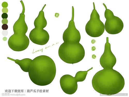 吃瓜子的葫芦瓜图片 第2张 吃瓜子的葫芦瓜图片 第2张