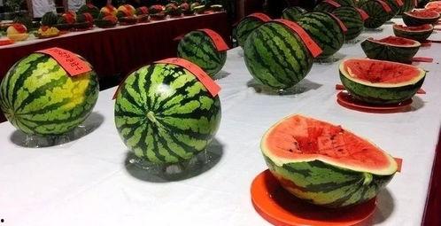 乡村吃瓜照片  第3张