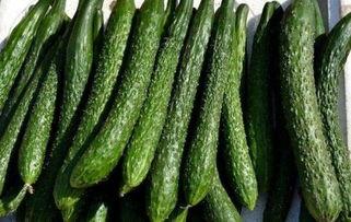 吃丰收瓜会减肥吗,揭秘天然减肥新选择  第1张