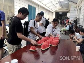 成都新闻吃瓜群众,吃瓜群众热议的幕后故事揭晓  第1张