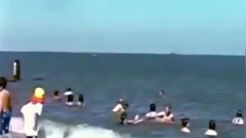 海洋馆吃瓜,吃瓜群众的海洋盛宴  第2张