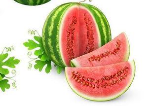 陈奕诺吃瓜  第2张