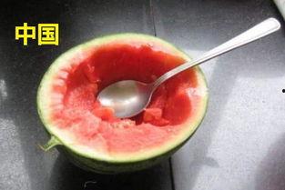 日韩吃瓜,揭秘明星们的“吃瓜”生活 第1张 日韩吃瓜,揭秘明星们的“吃瓜”生活 第1张