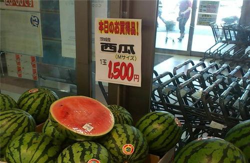 日韩吃瓜,揭秘明星们的“吃瓜”生活 第3张 日韩吃瓜,揭秘明星们的“吃瓜”生活 第3张