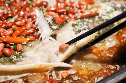 抖音吃瓜扬州  第3张