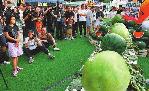 出席吃瓜,一场吃瓜群众的狂欢盛宴