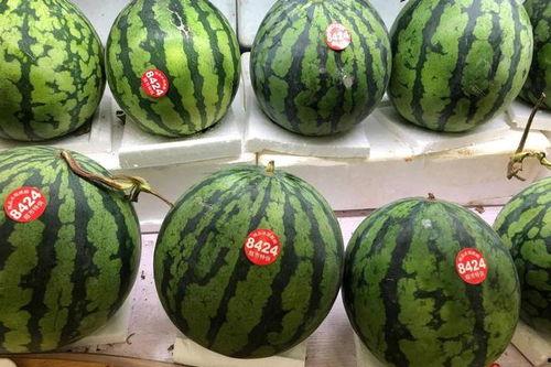 成都A片吃瓜群众,揭秘网络吃瓜群众的狂欢与争议 第3张 成都A片吃瓜群众,揭秘网络吃瓜群众的狂欢与争议 第3张