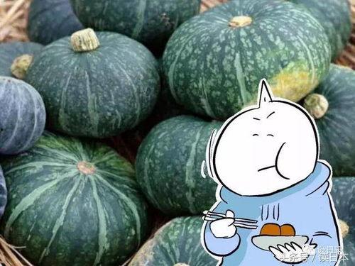 日本蓝瓜怎么吃  第3张