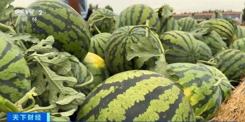 全国吃瓜网,揭秘娱乐圈幕后故事,带你领略娱乐风云变幻 第1张 全国吃瓜网,揭秘娱乐圈幕后故事,带你领略娱乐风云变幻 第1张