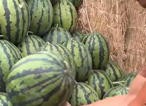 全国吃瓜网,揭秘娱乐圈幕后故事,带你领略娱乐风云变幻 第3张 全国吃瓜网,揭秘娱乐圈幕后故事,带你领略娱乐风云变幻 第3张