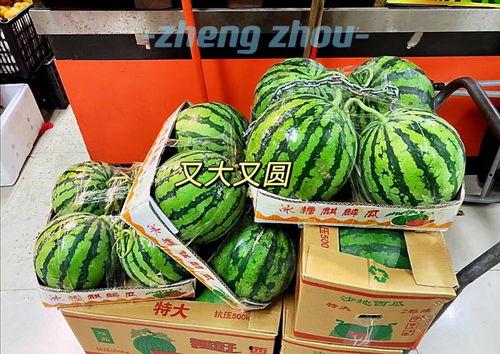 郑州地产吃瓜事件,一场吃瓜群众的全民围观 第3张 郑州地产吃瓜事件,一场吃瓜群众的全民围观 第3张