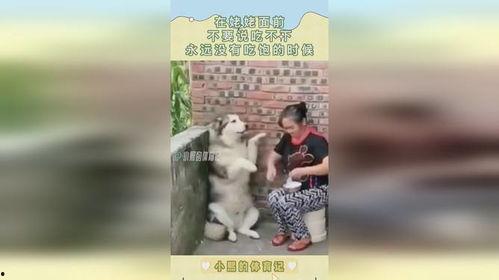 在姥姥面前吃瓜,温馨回忆中的甜蜜时光 第1张 在姥姥面前吃瓜,温馨回忆中的甜蜜时光 第1张