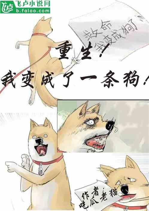 吃瓜不断小说  第3张