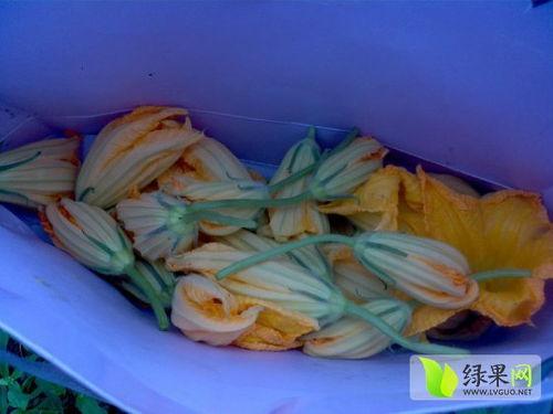 瓜花怎么炒着吃,家常美味新尝试  第3张