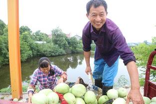 枝江吃瓜,探寻地方特色美食之旅  第3张