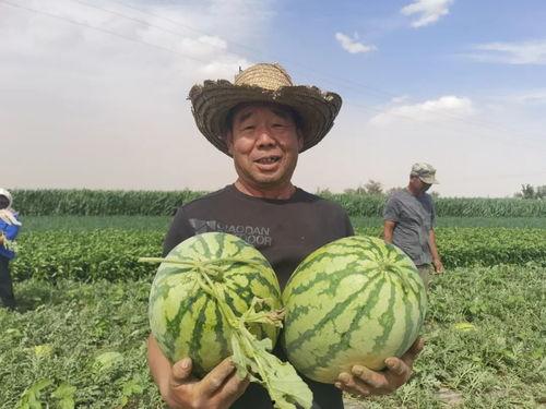 甘肃康县吃瓜视频  第3张